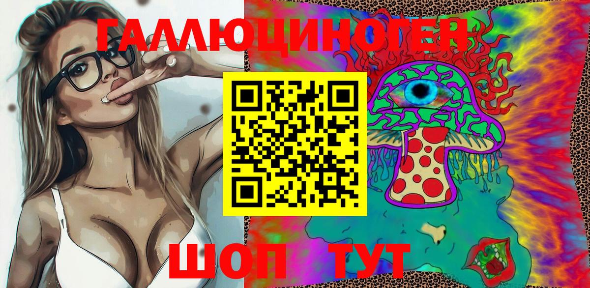 Псилоцибиновые грибы Psilocybine cubensis Ртищево